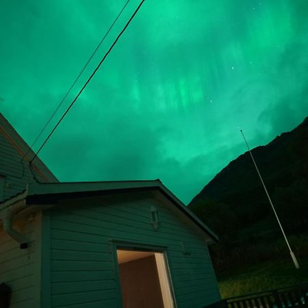 Laksvatn 极光民宿northern Lights מראה חיצוני תמונה