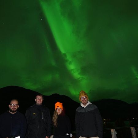 Laksvatn 极光民宿northern Lights מראה חיצוני תמונה