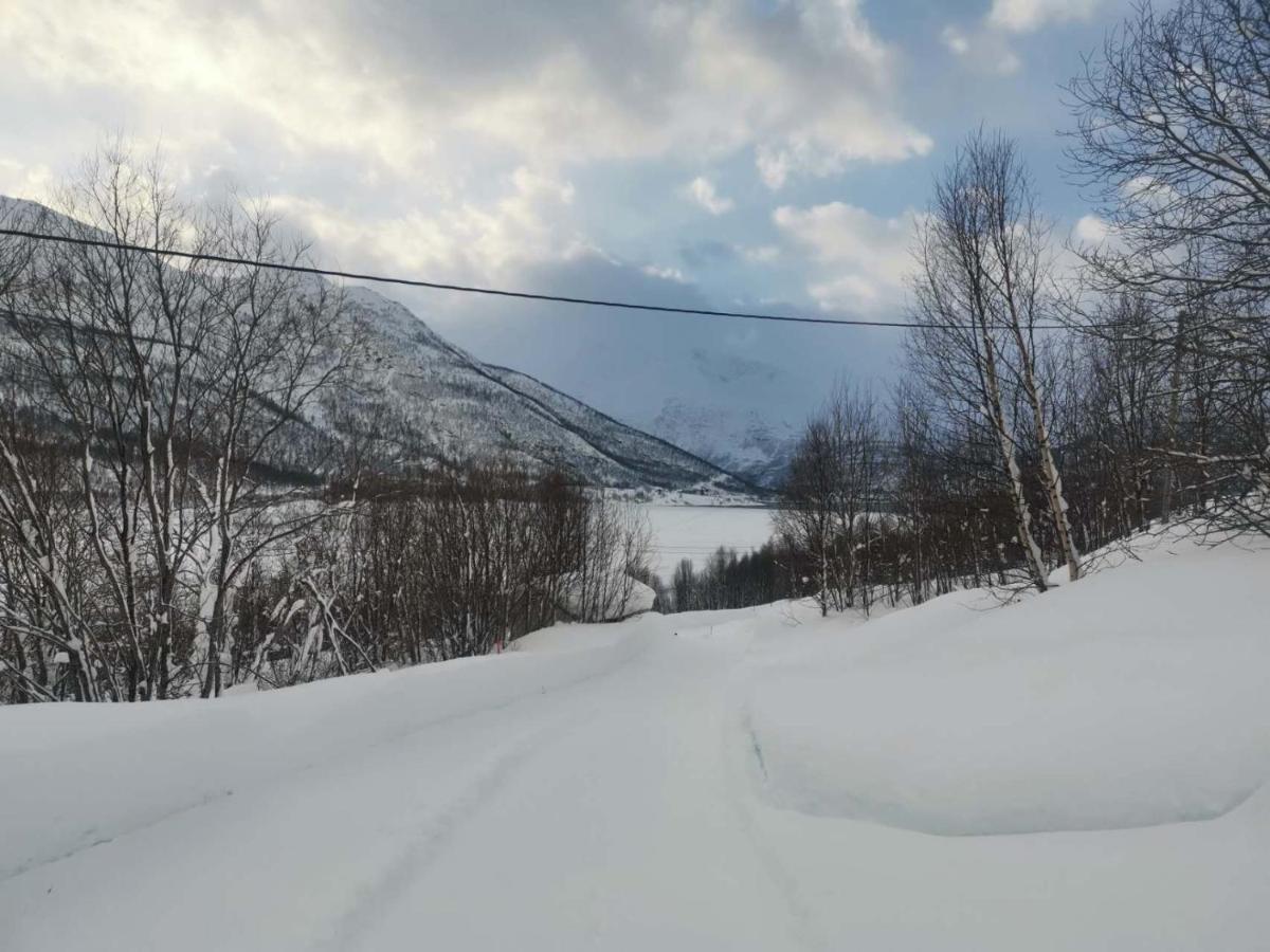 Laksvatn 极光民宿northern Lights מראה חיצוני תמונה